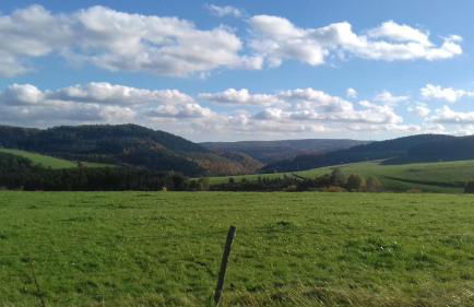 Ferienhaus Rabenhorst - Foto 38