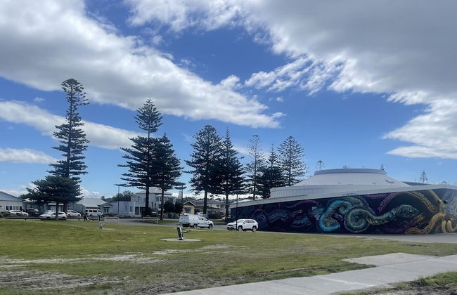 Ocean Front Studio Napier - Foto 9