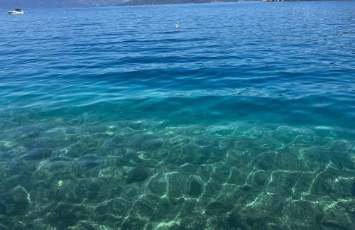 La Bella Vita - Foto 27