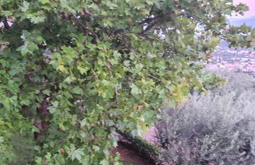 Σπίτι με θέα - Foto 20