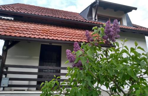 Apartman Sveti Rok - Foto 14