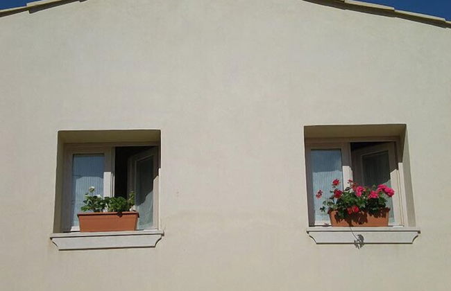 Chicchi di Melograno - Foto 47