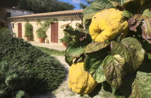 Masseria Lacco - Foto 14