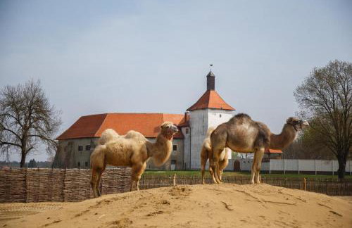 Šalatin jarek - Foto 43