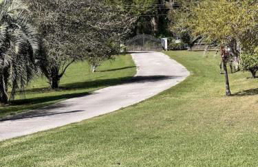 A Pearl Hidden Between Farms - Foto 9