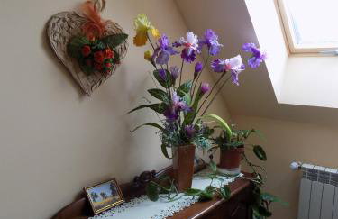 Kwiatowa Zagroda - Foto 39