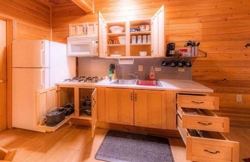 Cabin#2 Elk Hallow - Pet Friendly - Sleeps 6 - Playground & Game Room - Foto 6