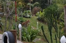 JARDIM REAL - Chalés para casais - Foto 12