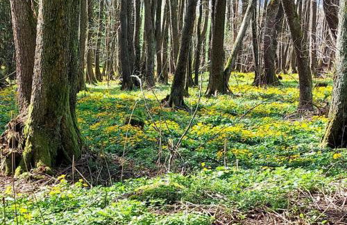 Holiday home Corinna - Foto 40