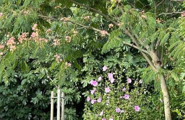 La Casa Dei Fiori - Foto 33