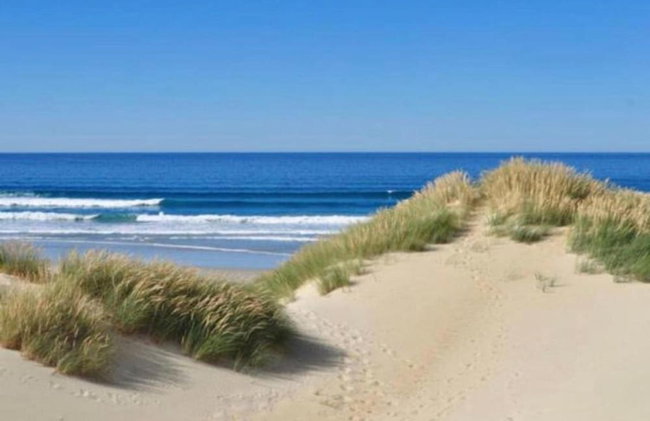 Goethe 0202 Furnished Apartment With sea View - Foto 39