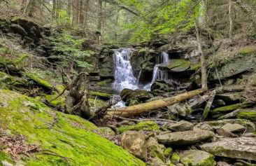 Unique and Private 25ft Waterfall House in Hunter - Foto 63