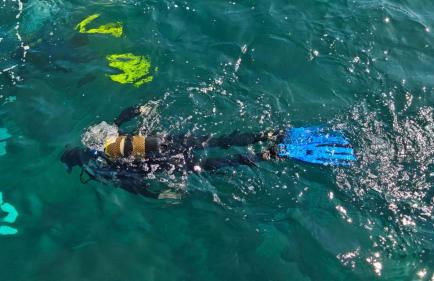 Vista Romantica Madeira - Photo 69