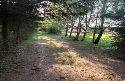 Holiday Home near Forest and Lake in Pomeranian - Foto 37