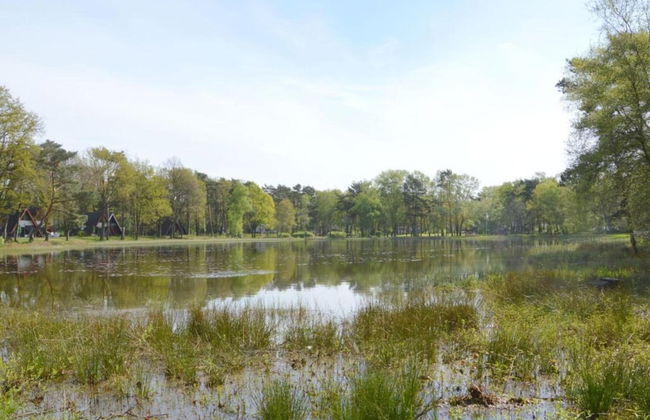 Holiday Home in Stramproy Near Nature Reserve - Photo 23