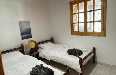 Forest view Aggeliki - Foto 18