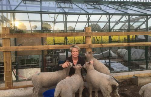 Coach House at Oaks Barn Farm Alcester with optional hire Salt water hot tub - Photo 20