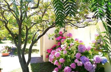 A casa di Iole - Foto 7