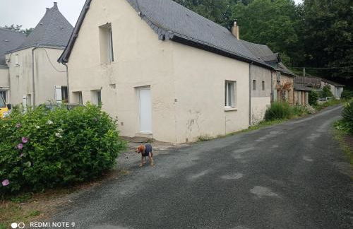 Repos au bord de l'eau - Photo 8