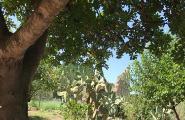 Bouganville in Villa Greco - Foto 65