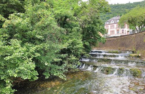 Ferienwohnung Bad Bertrich - Photo 22