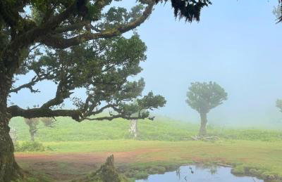 Ocean Breeze - Foto 37