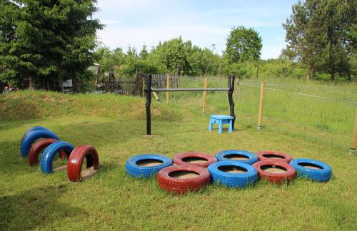 Agroturystyka W Jabłoniowym Sadzie - Foto 31