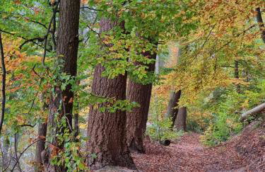 Apartament Fryderyk Łagów - Foto 53