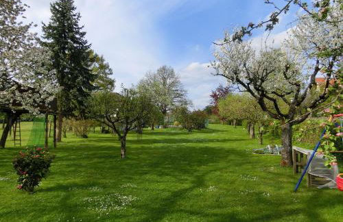 Ferienwohnung Singer - Foto 17