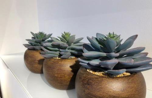 Félix Le Renfrogné Aubagne-Cassis-Aix en Provence - Foto 24