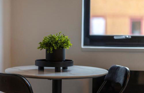 Studio Apartment - Perfect for Contractors and Short & Long Term Stays - Free WIFI - Free Parking - Extra Bed - Full Kitchen - Foto 14