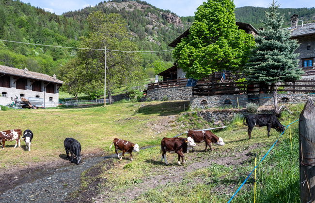 Maison Meynet - Photo 29