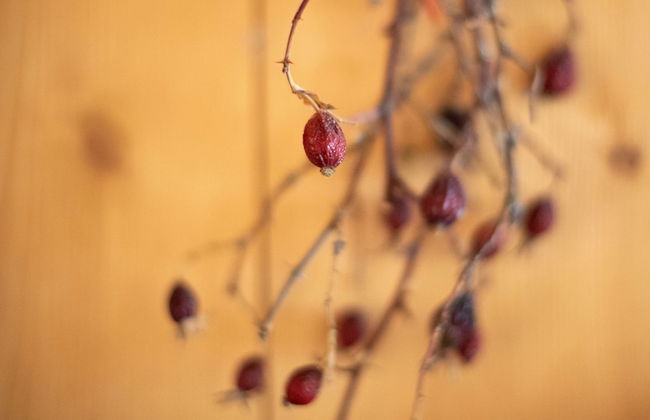 Italianway - Roma 23 - Foto 45