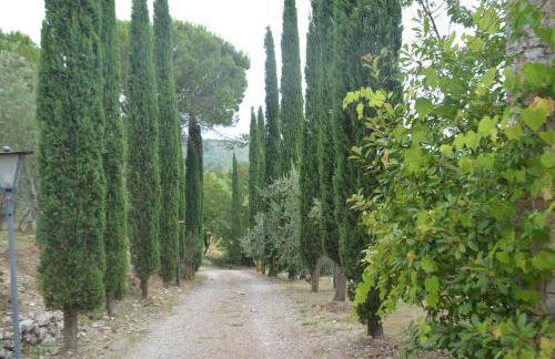 Celle di Lecchi Fienile - Foto 68