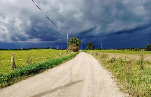 Stara Stolarnia - Foto 64