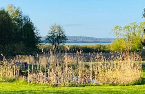 Ferienoase Eisvogel - Foto 18