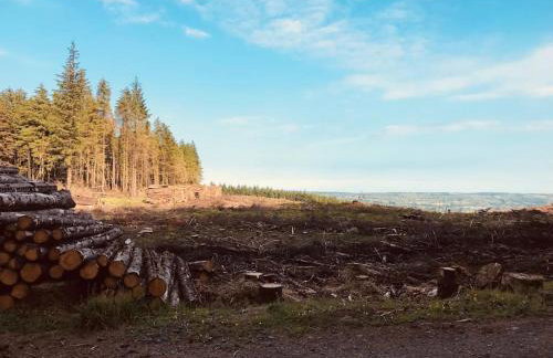 Bracken Cottage - Foto 45