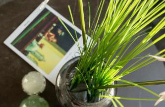 Appartement Champagne - Foto 64