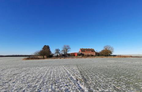 Vierseitenhof Hasenfelde - Ferienwohnung Feldblick - Foto 16