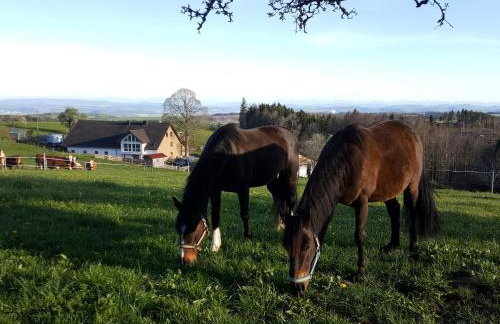 Fischerhof - Foto 20