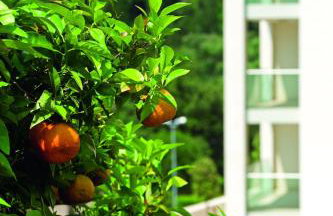 Dubrovnik Luxury Residence - L'Orangerie - Photo 80