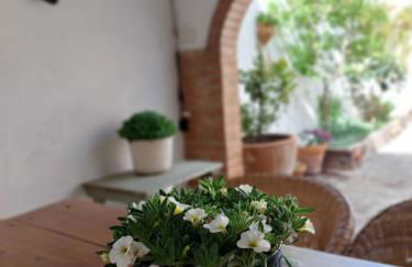 La Casa de Dori - Foto 8