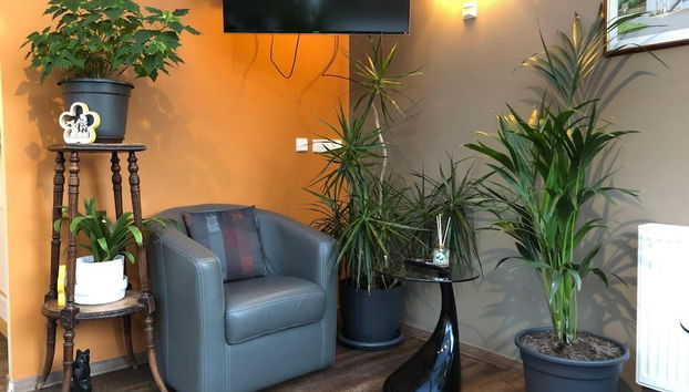 Appart-Hotel Gwendy - Foto 2, Rezeption