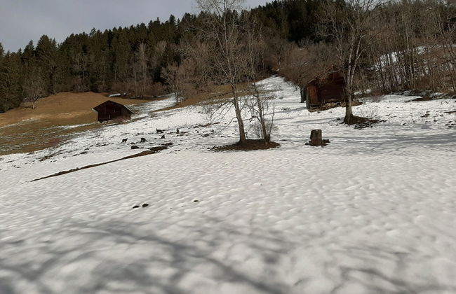 Kari's Schüür - Foto 13