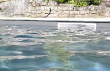 La Cachette des Amoureux - Foto 6