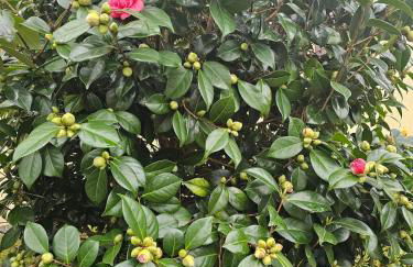 La Casa - Gîte familal - 15min from Puy duFou - Foto 54