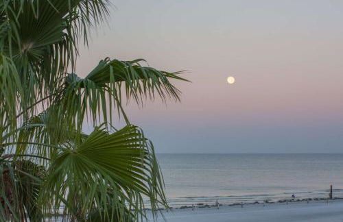 204 - Royal Orleans - Foto 30