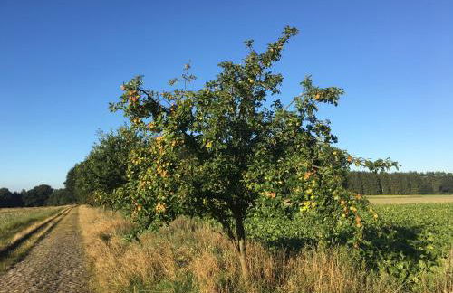 Ramakers Hof - Foto 29