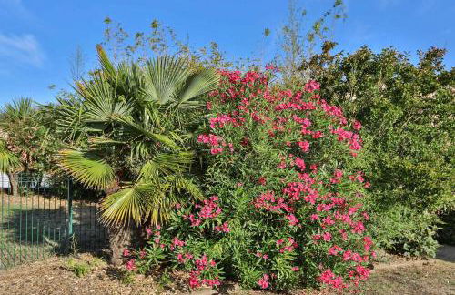 Résidence les Dunes- Appartement avec piscine - Foto 28
