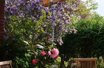 Villa Ludwig Fewo - Foto 10